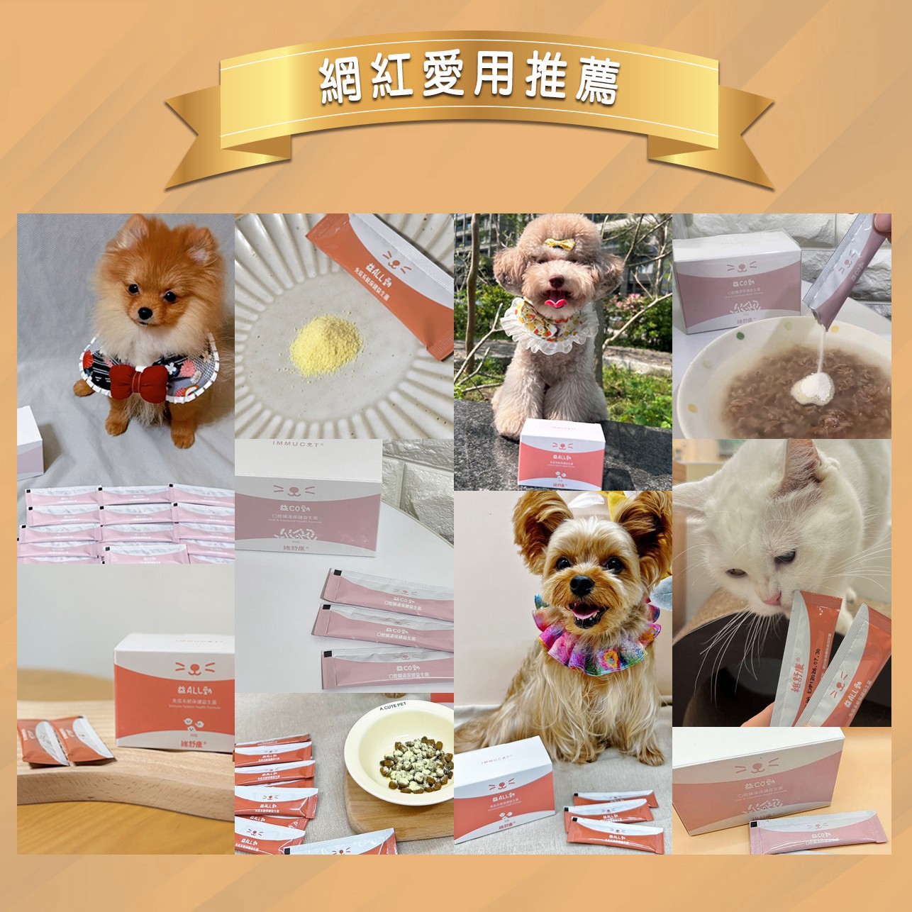 試用