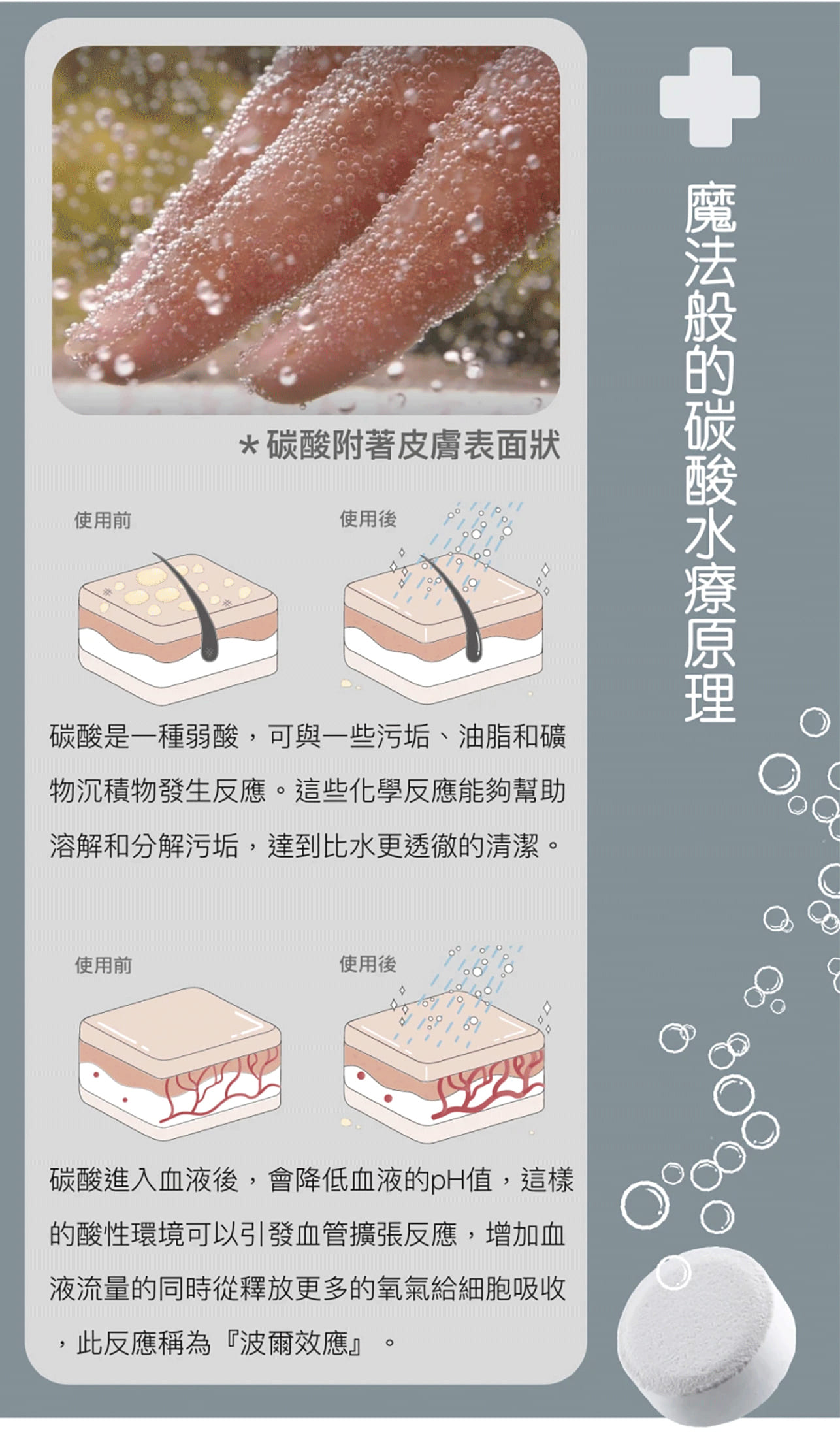 試用