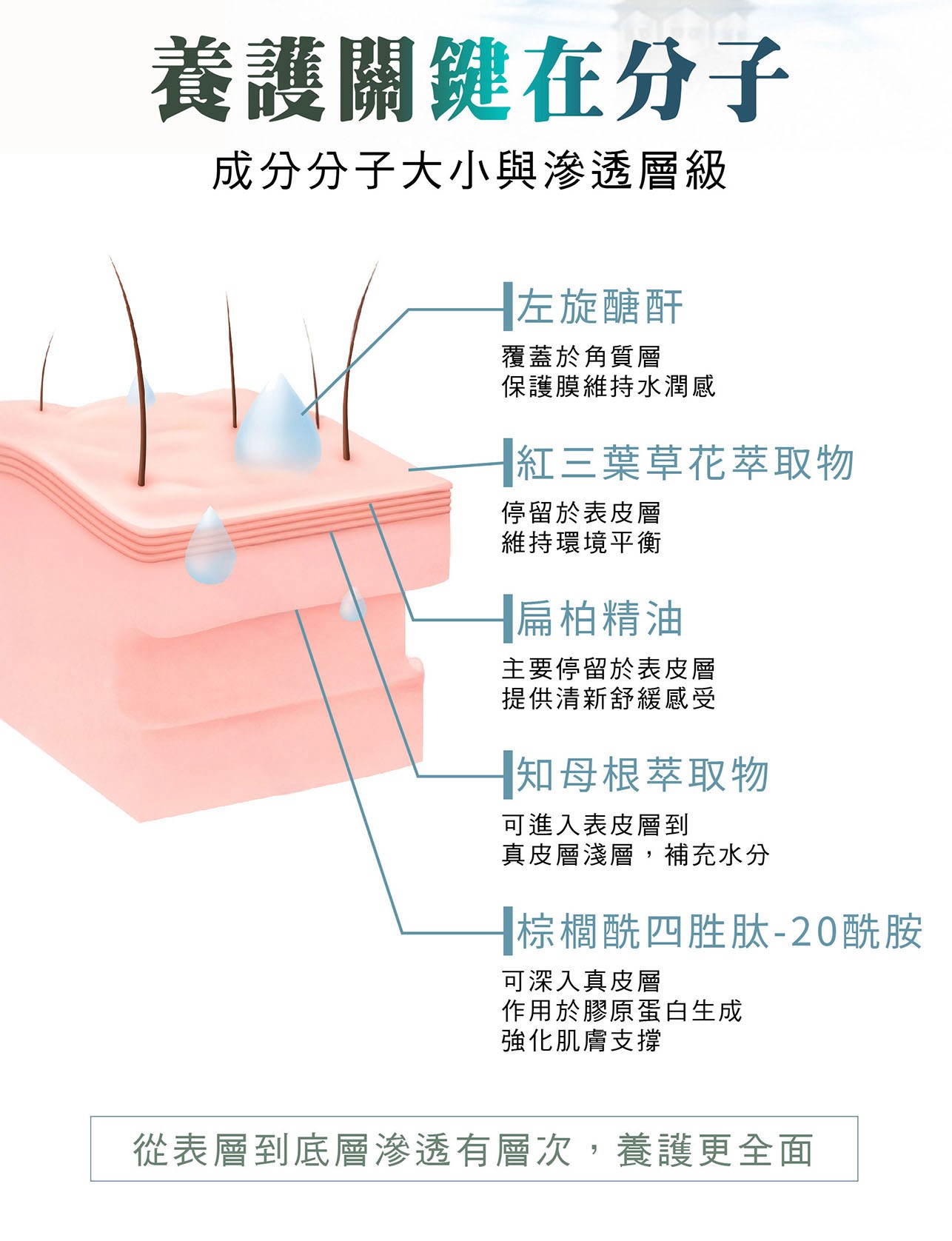試用