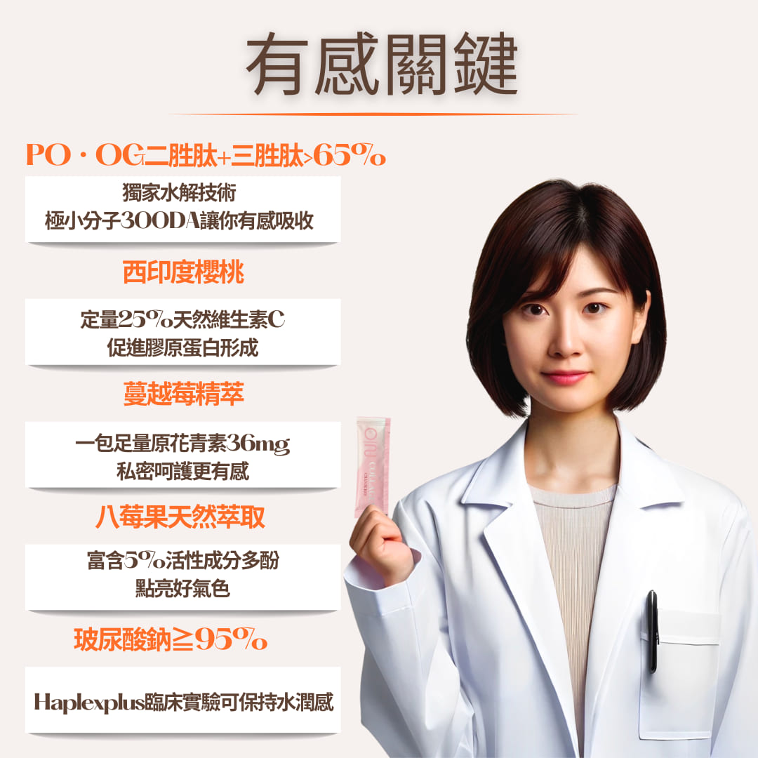 試用