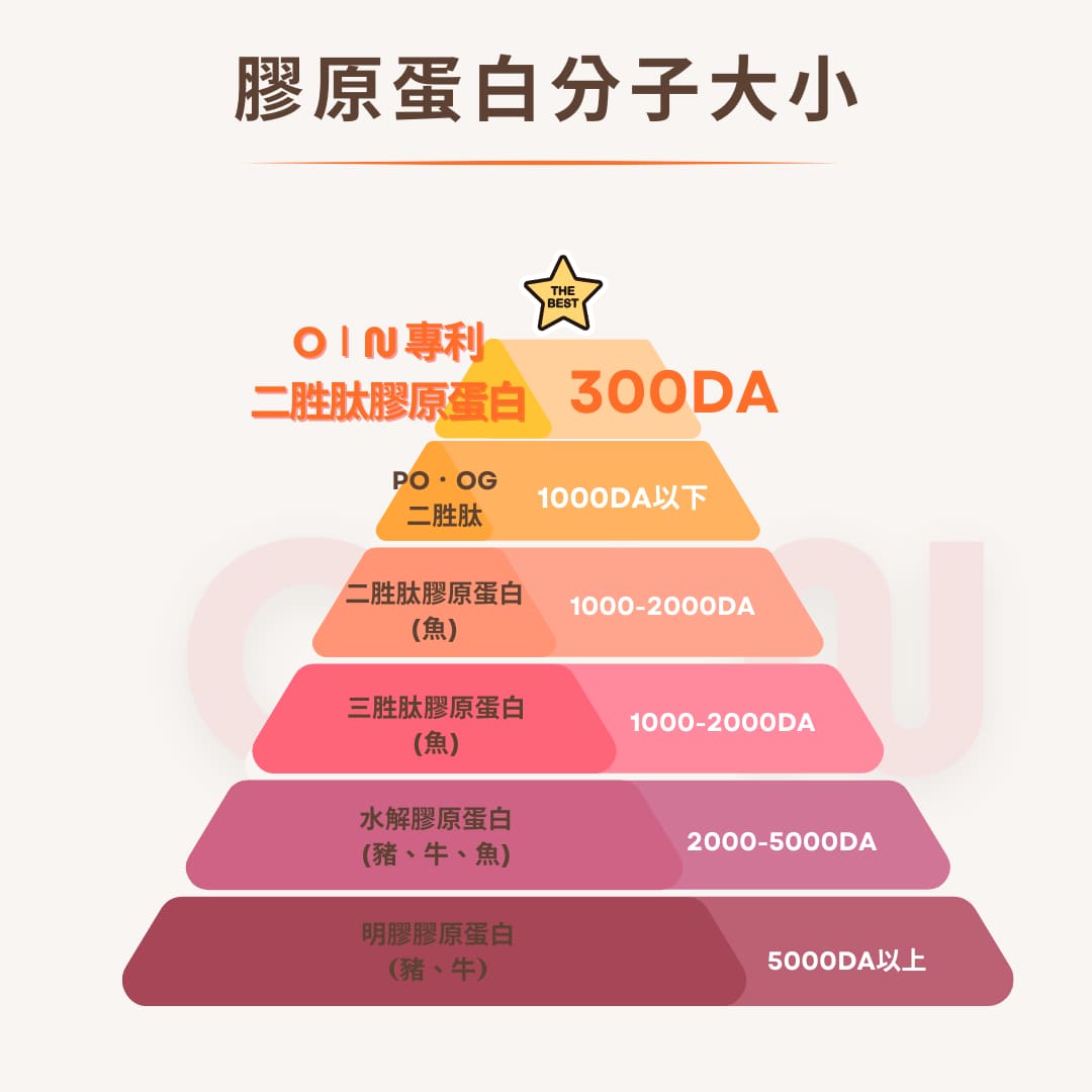 試用