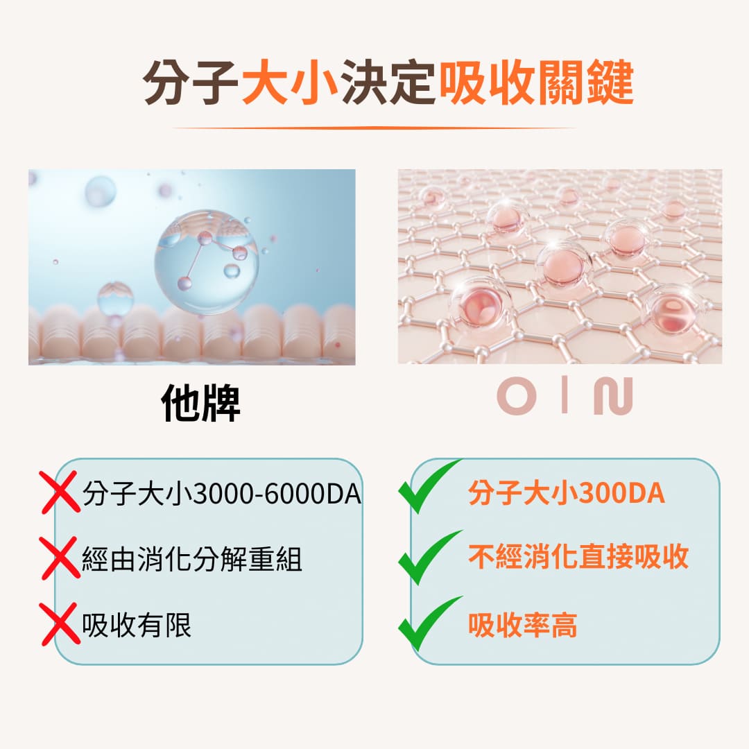 試用