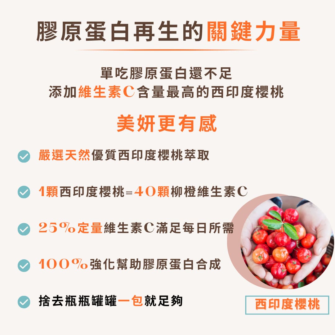 試用
