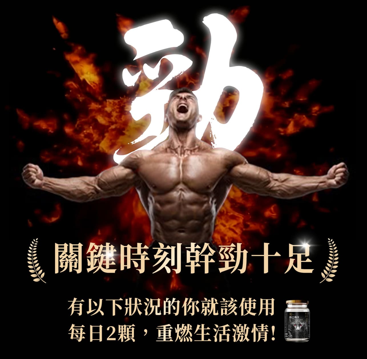 試用