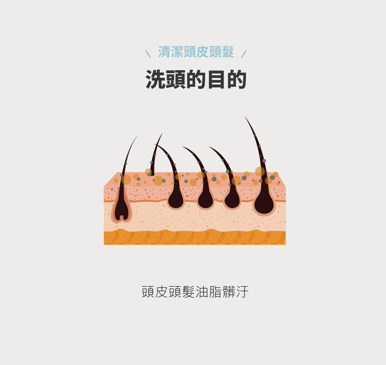 試用