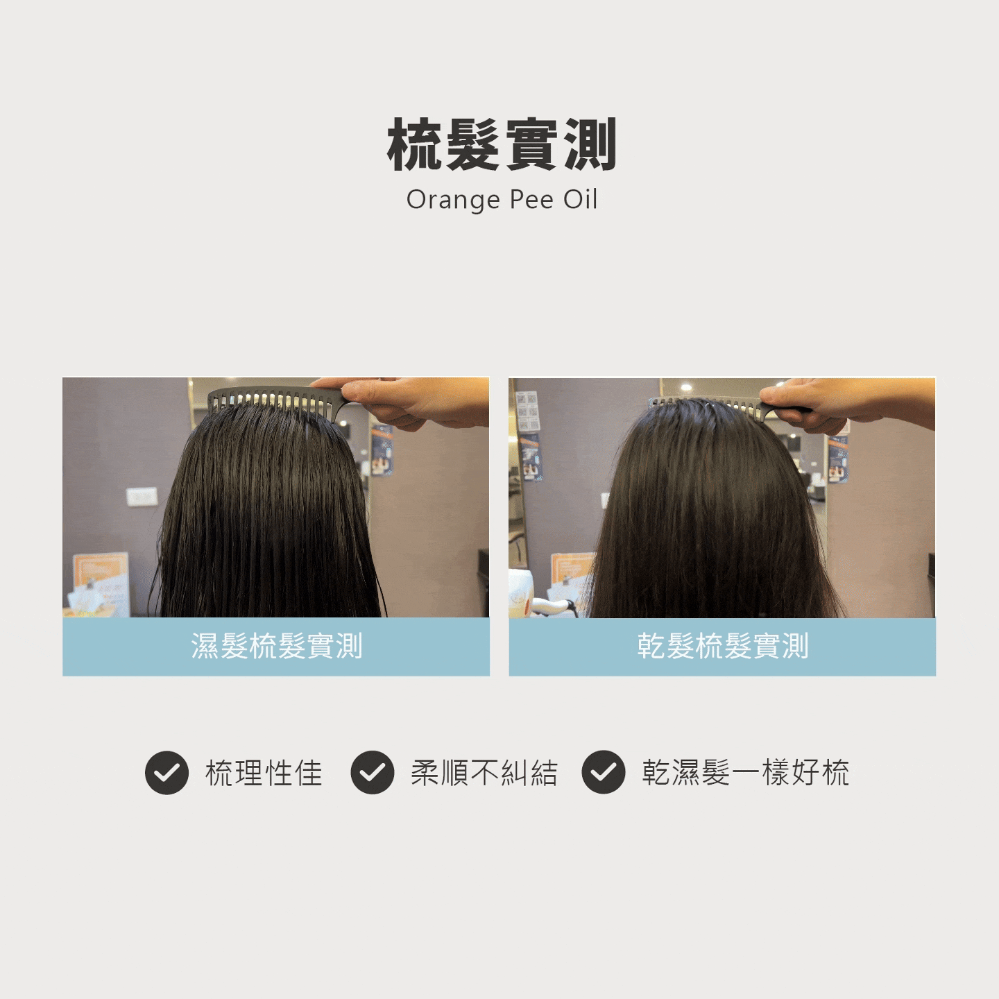 試用