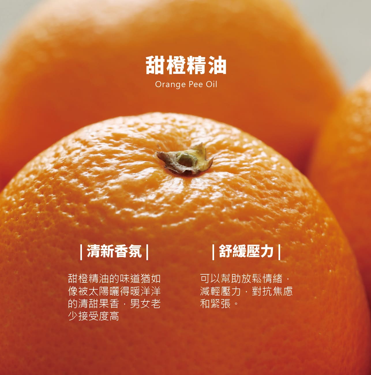 試用