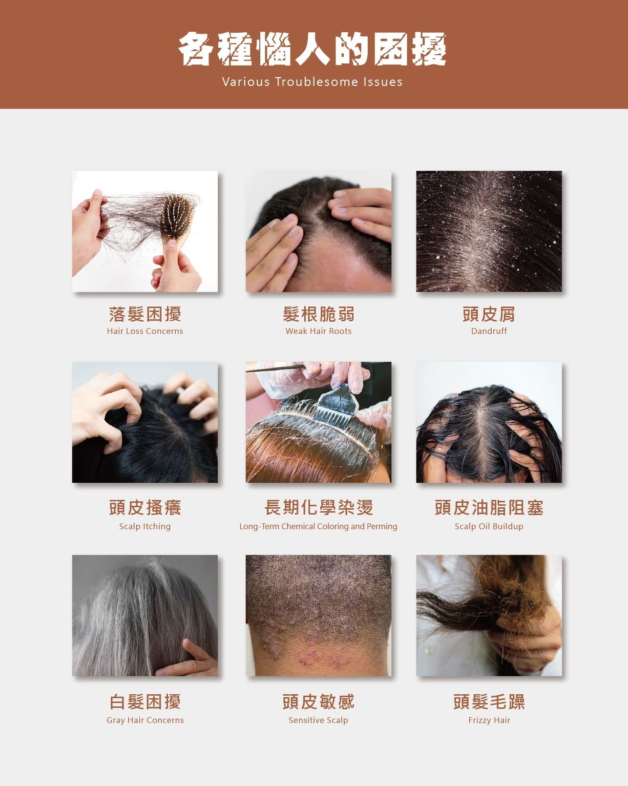 試用