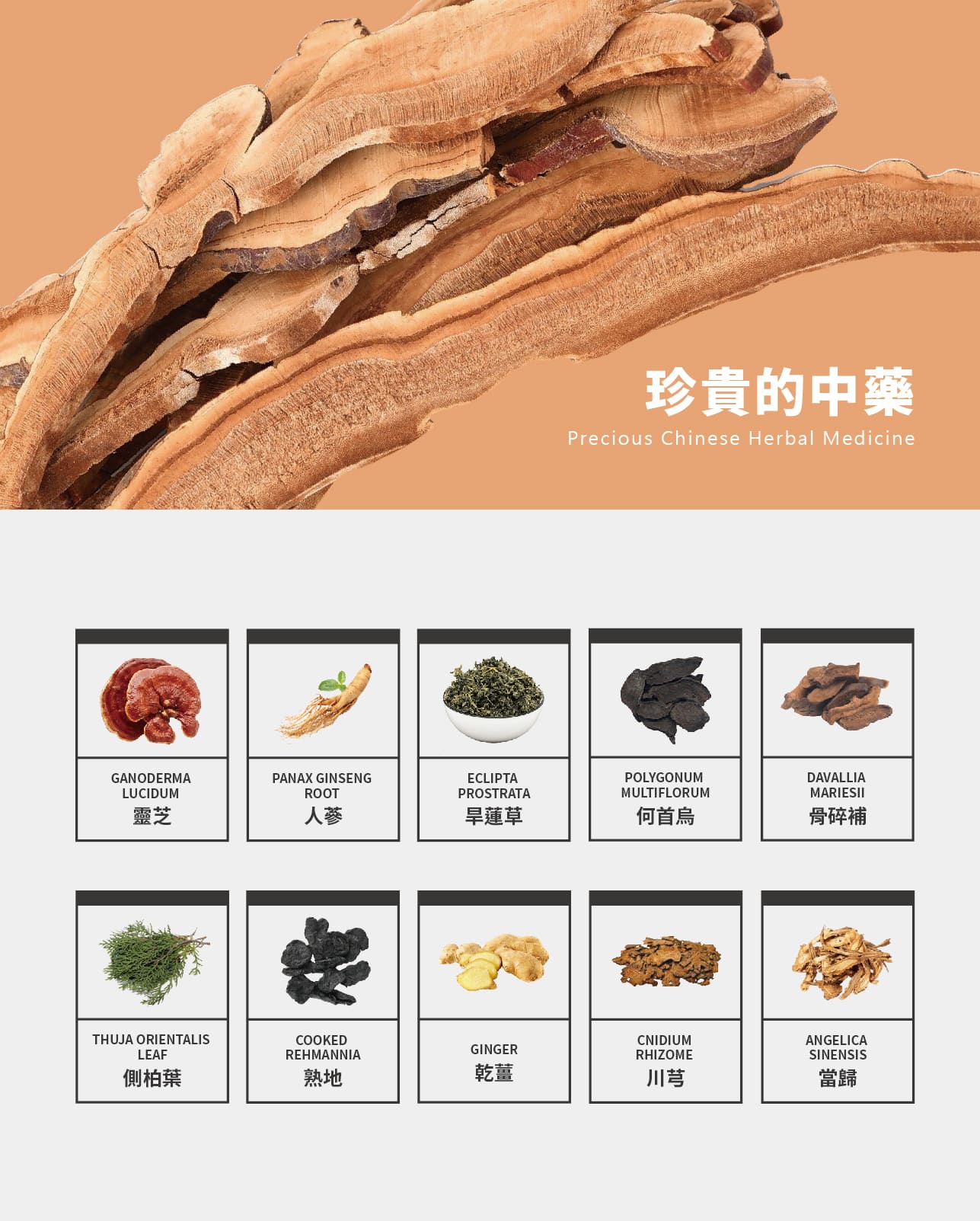 試用