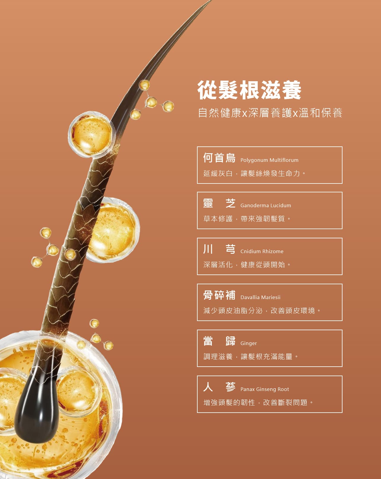 試用