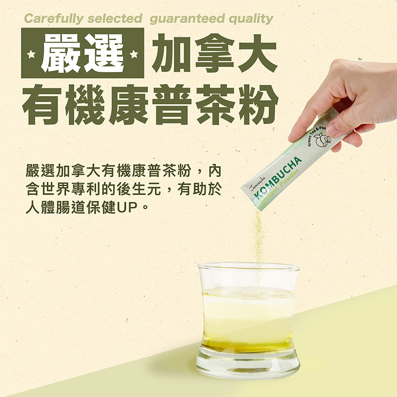 試用
