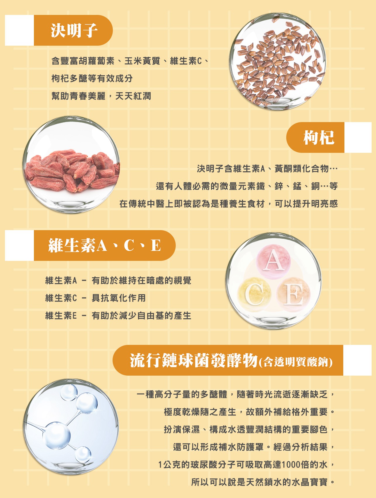 試用