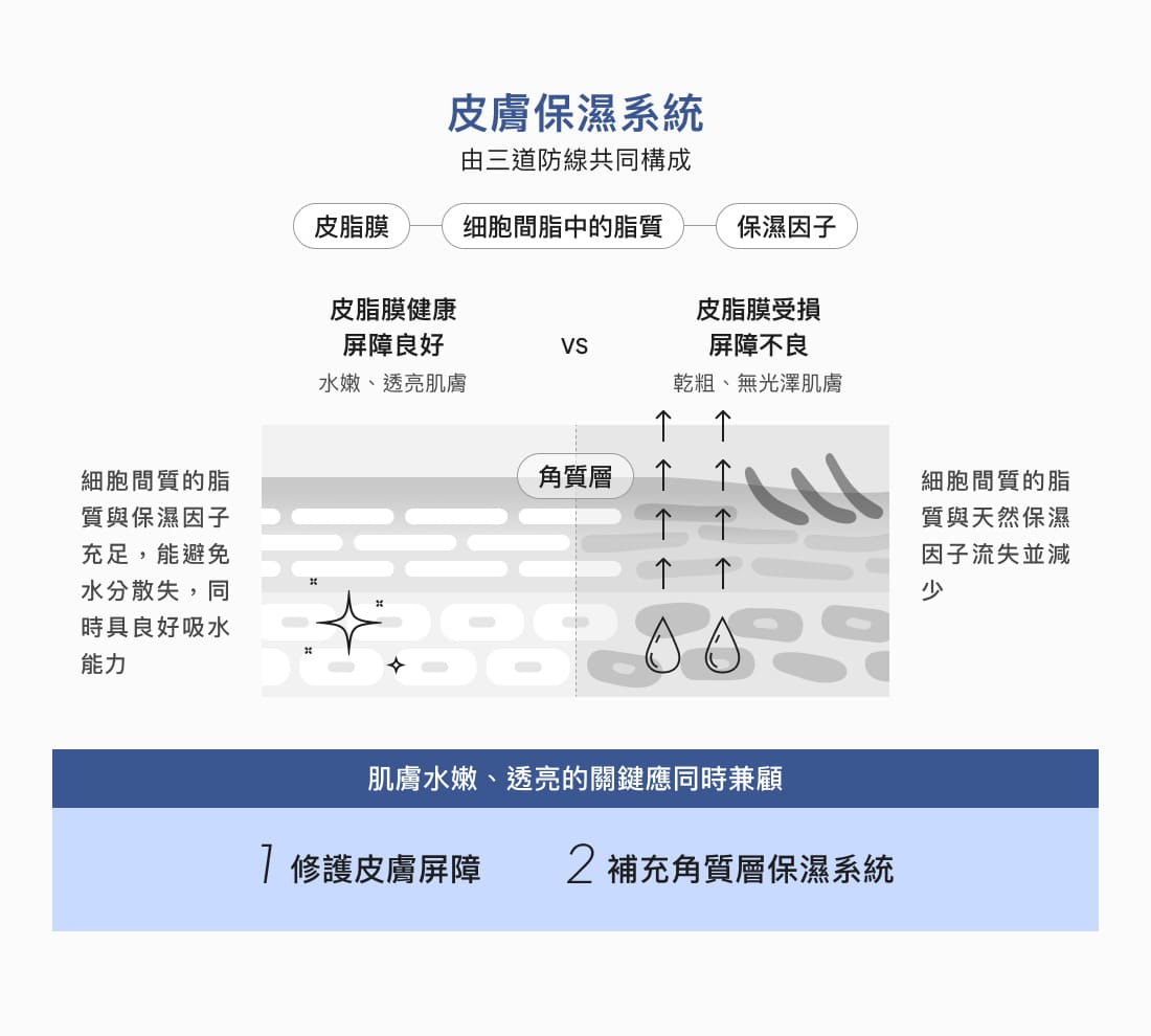 試用