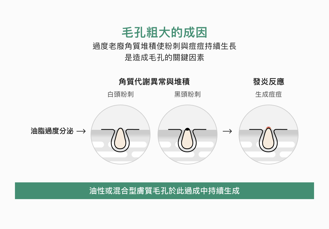 試用