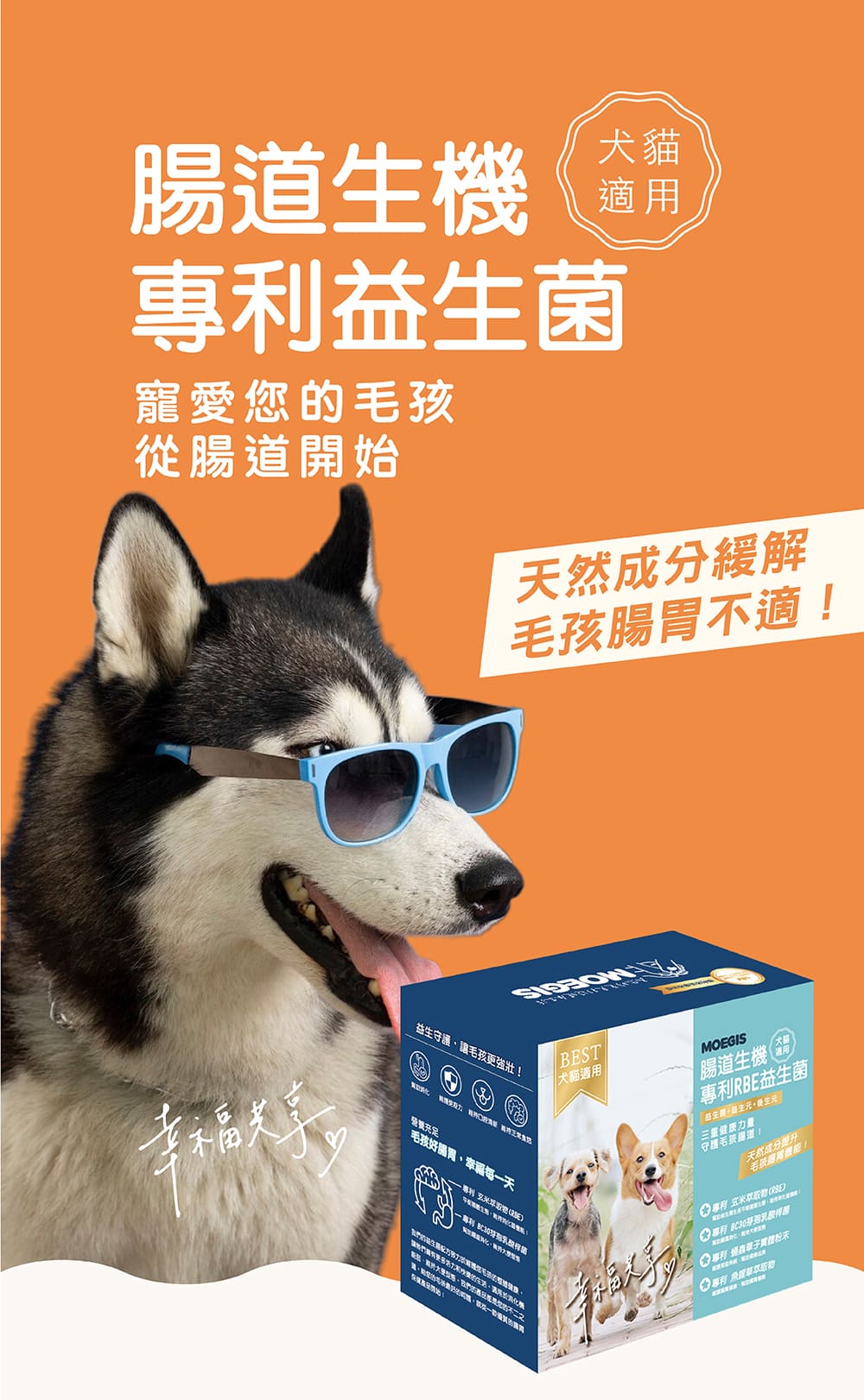 試用