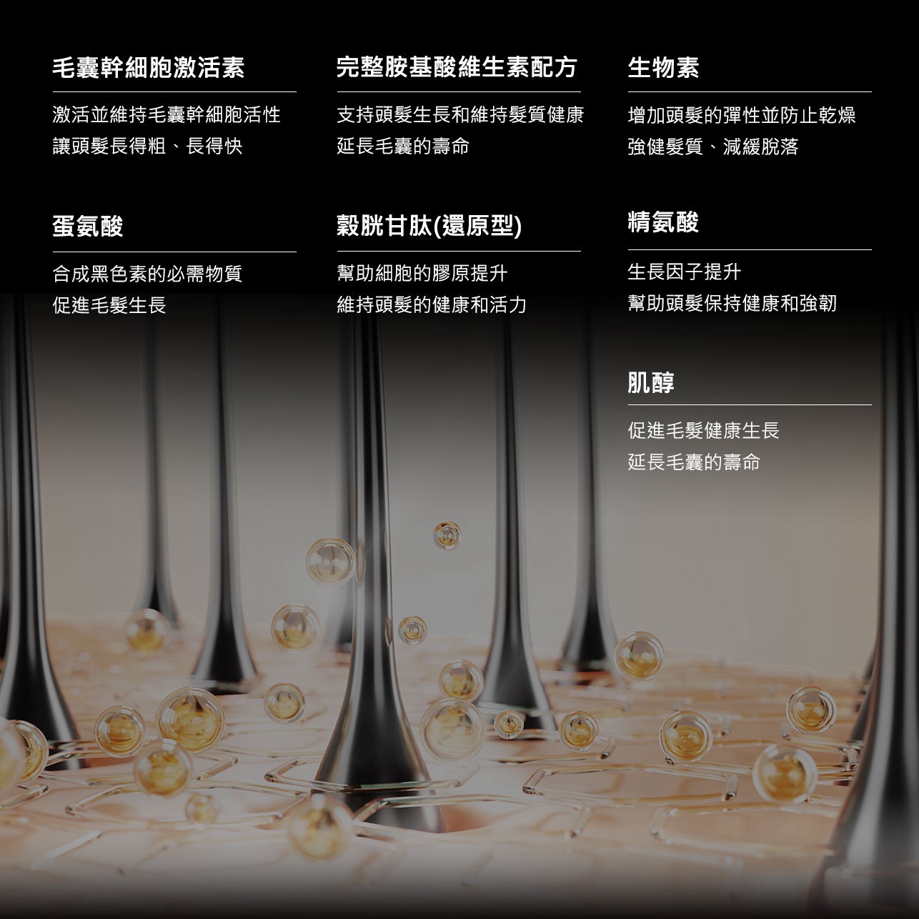 試用