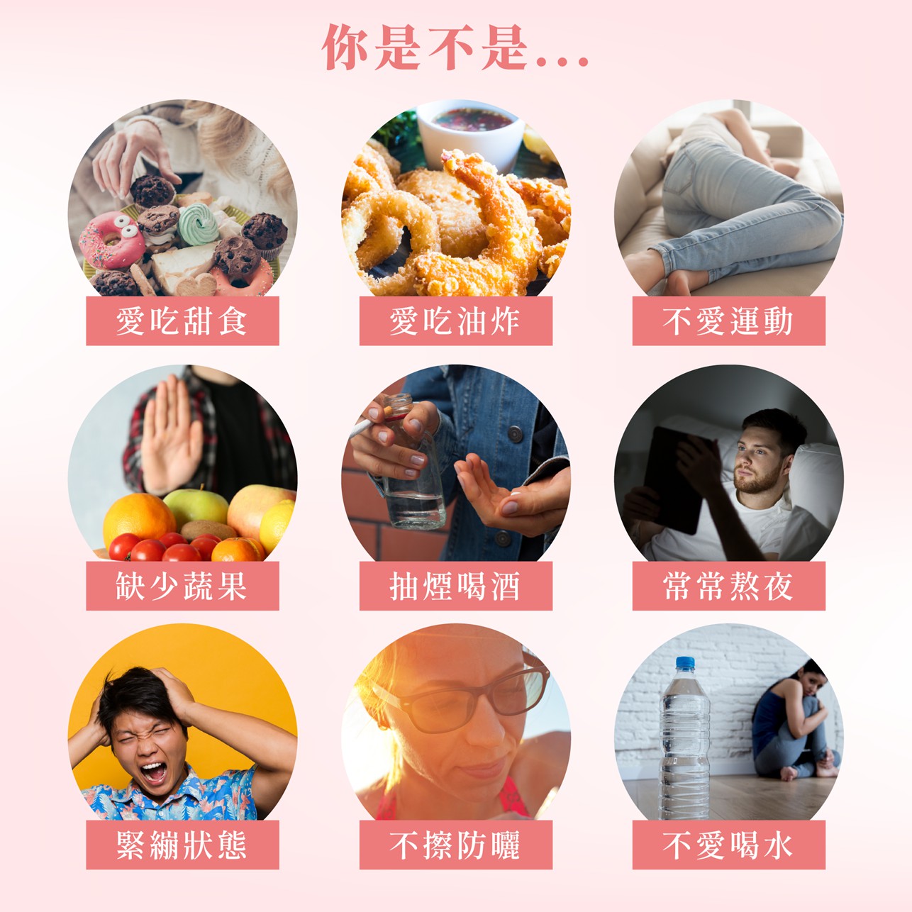 試用