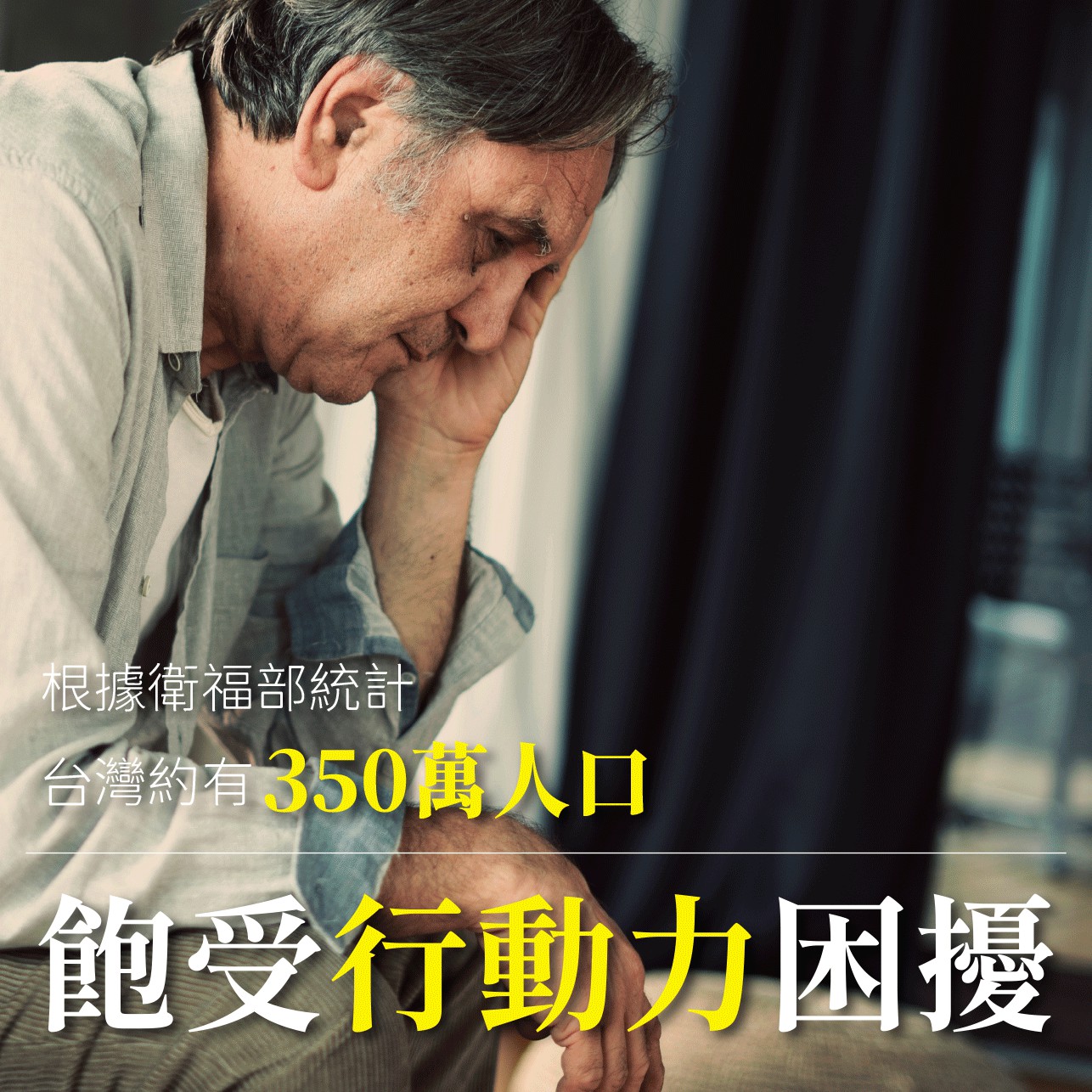 試用