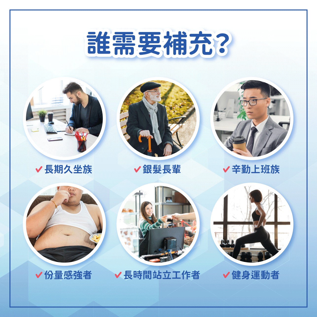 試用