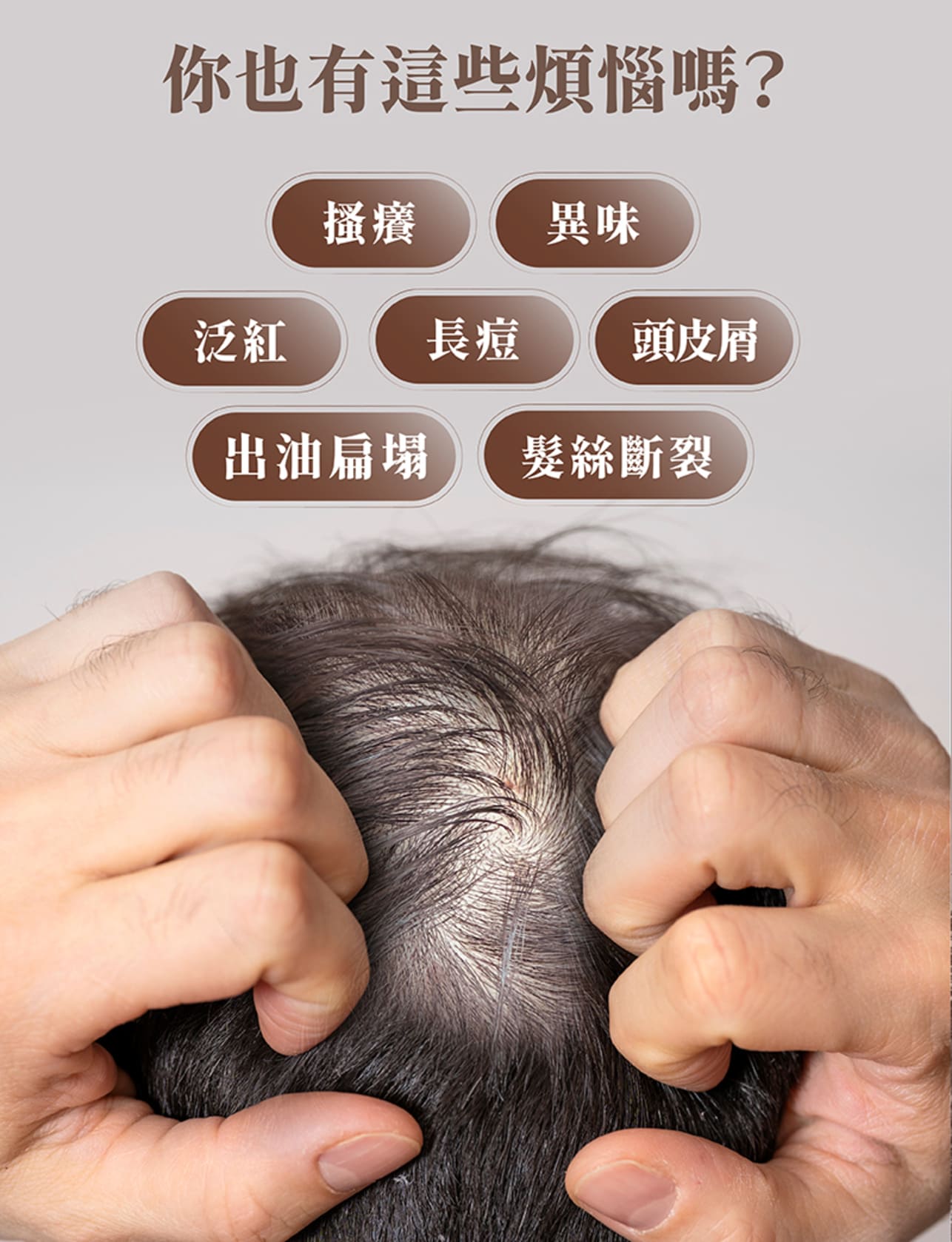 試用