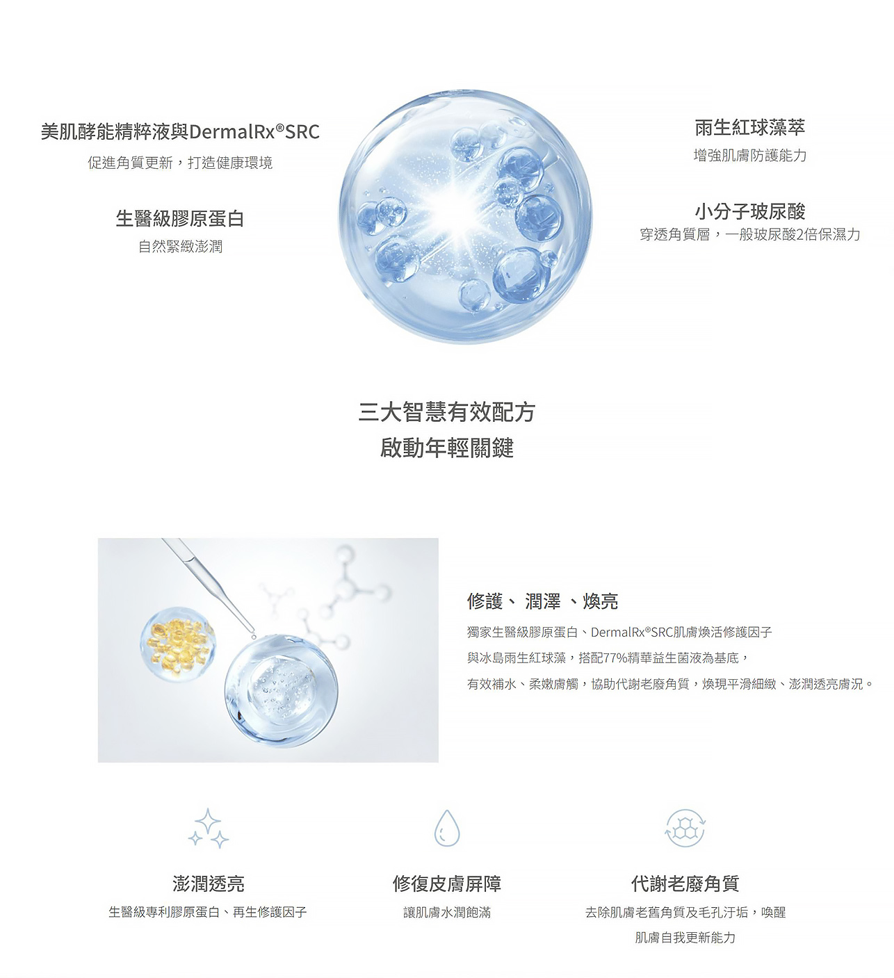 試用