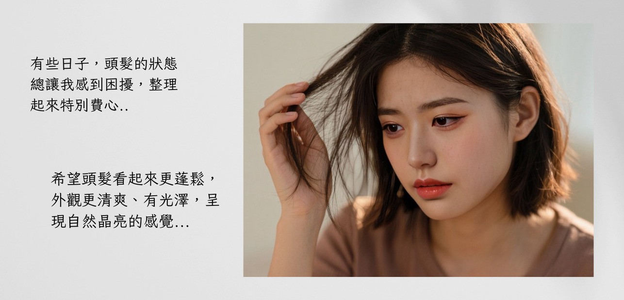 試用