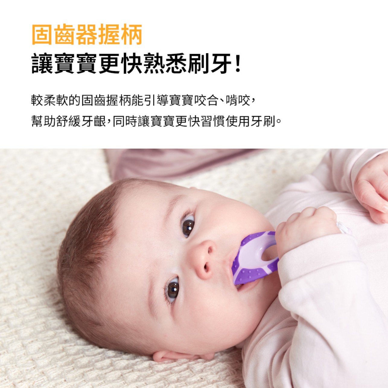 試用