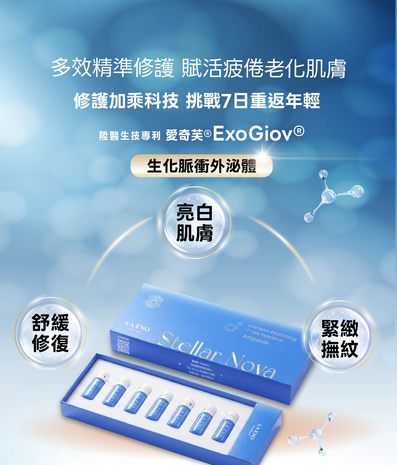 試用