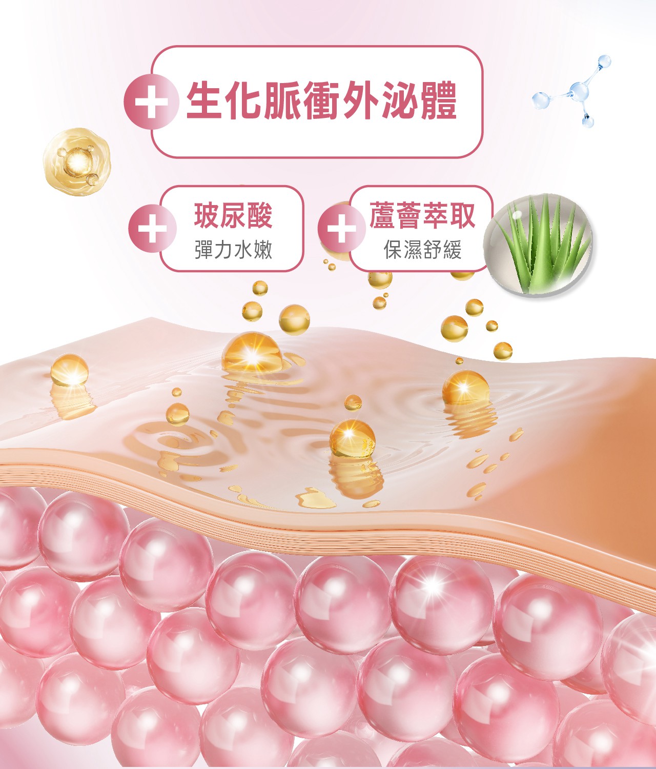 試用