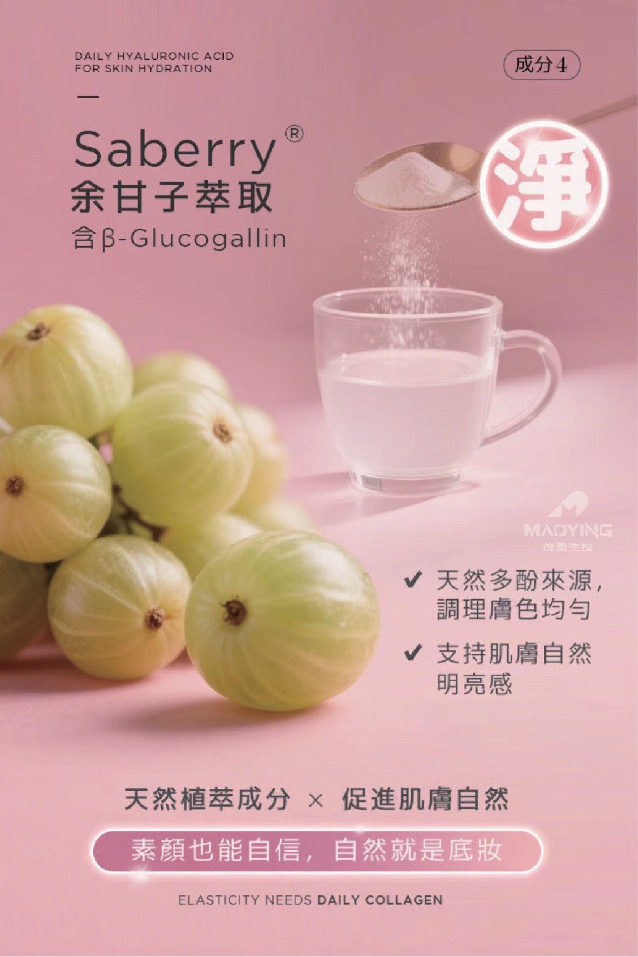試用