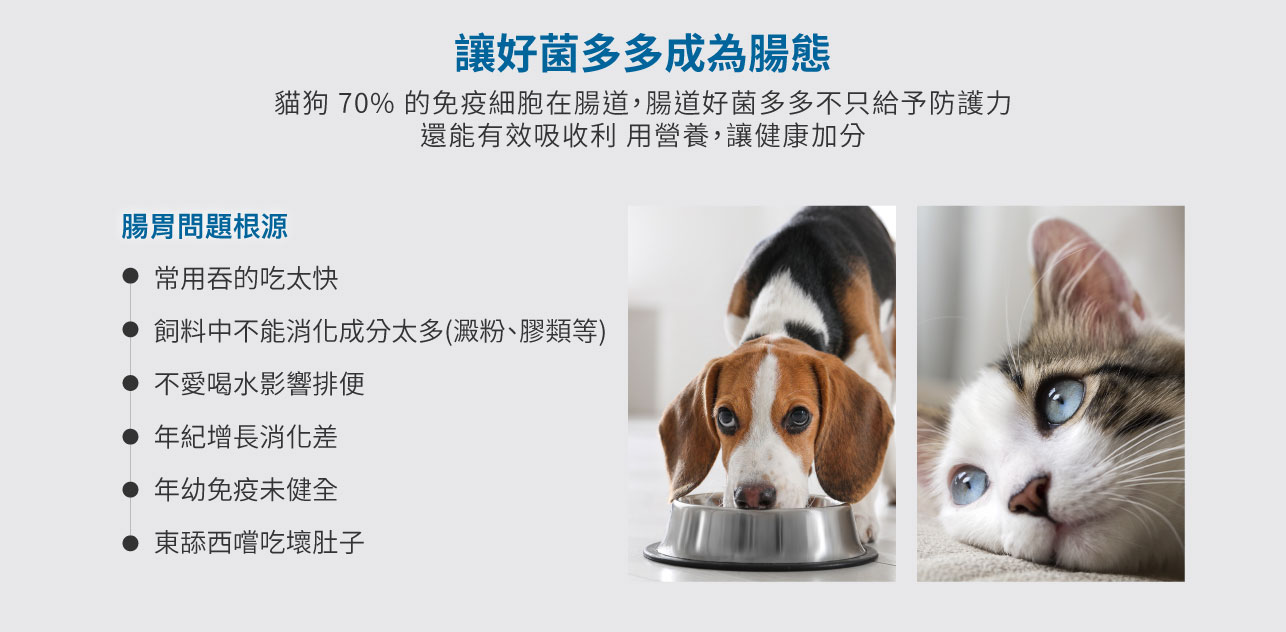 試用