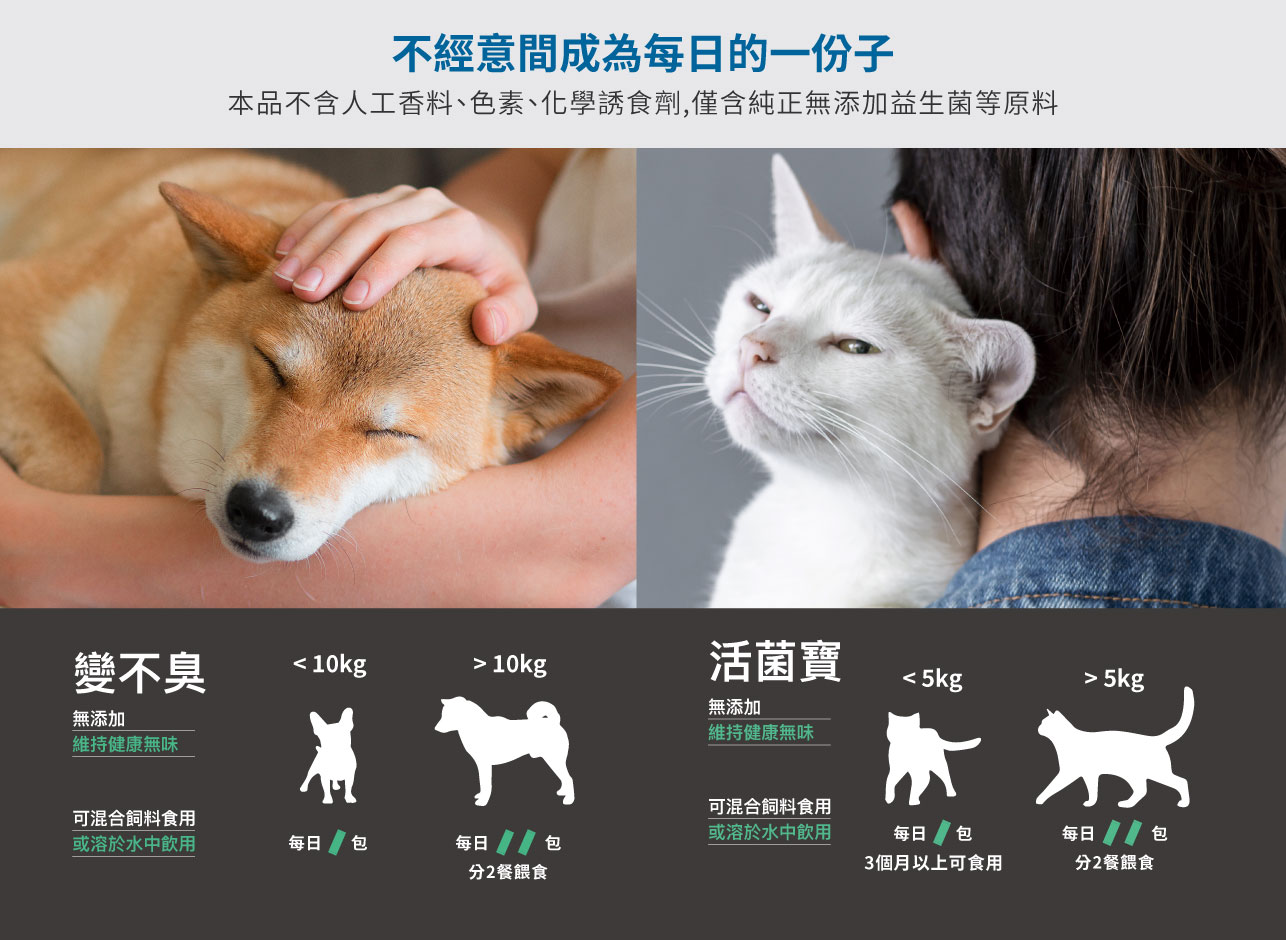 試用