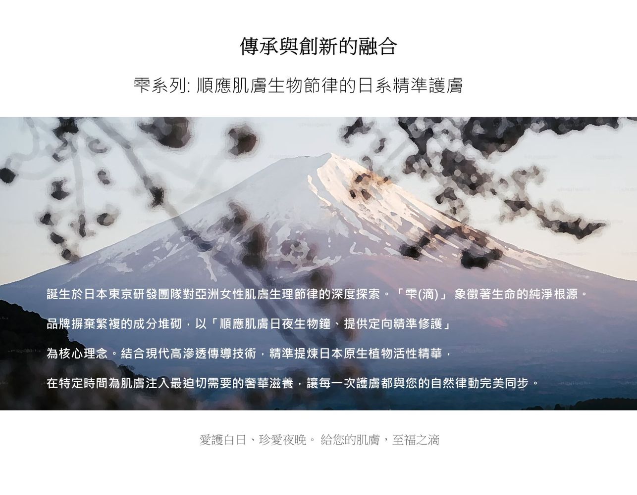 試用