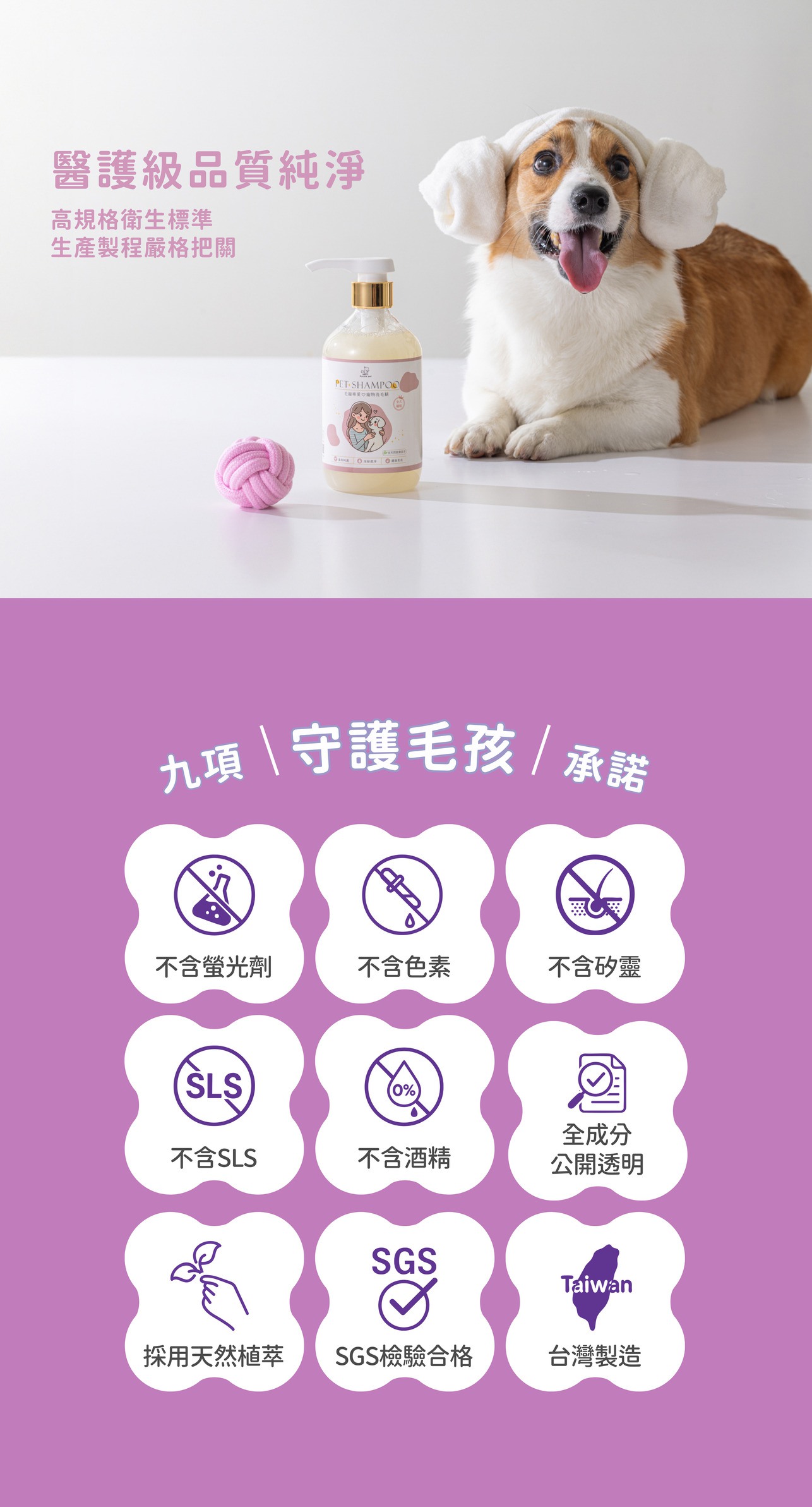 試用