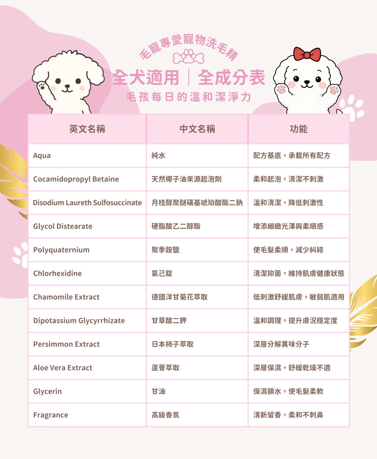 試用