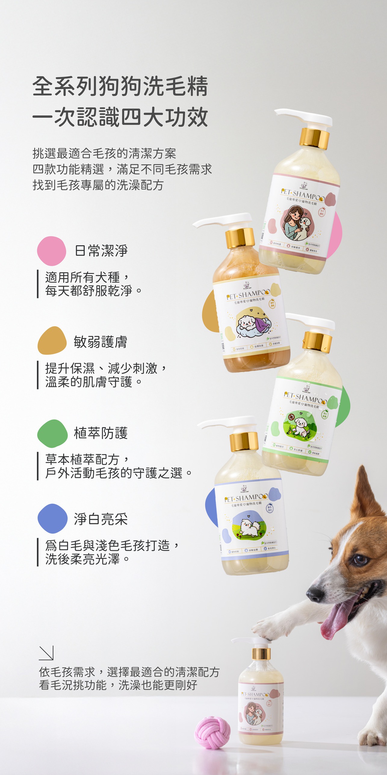 試用