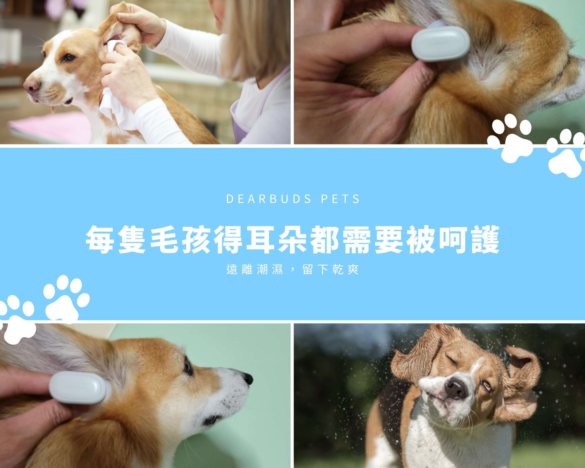 試用