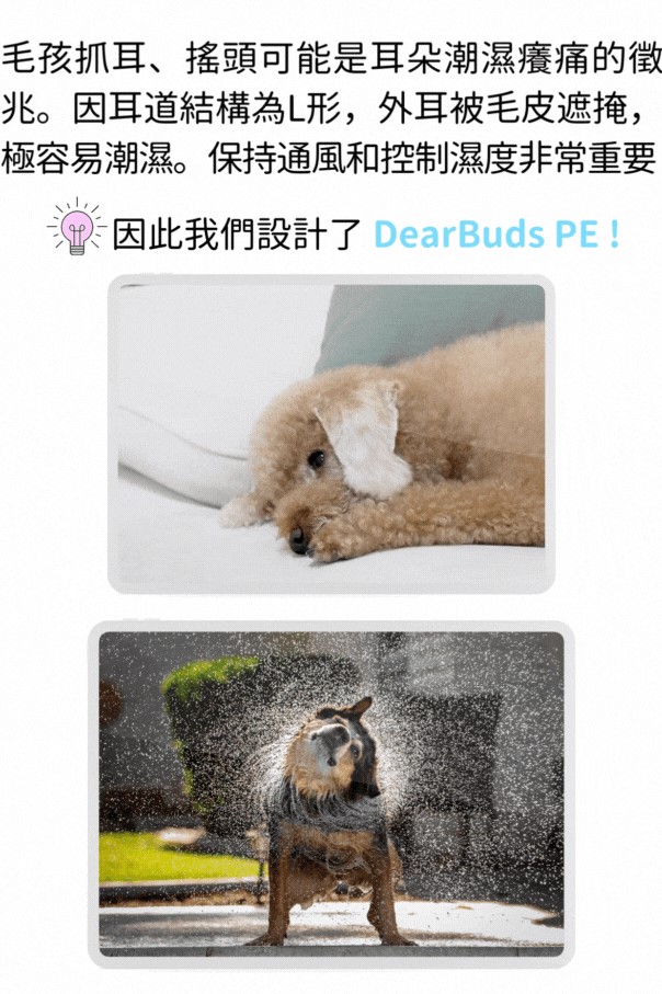 試用