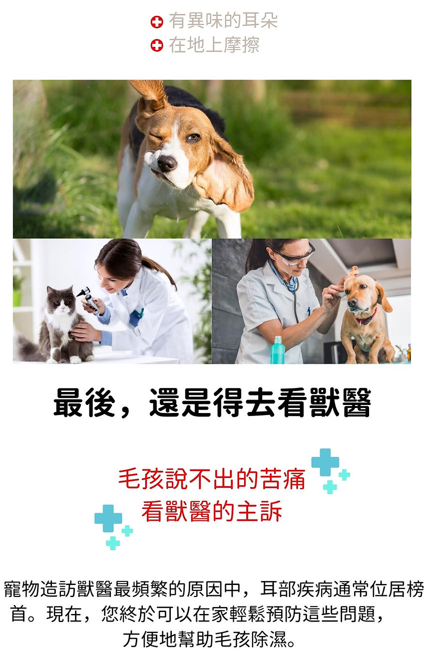 試用