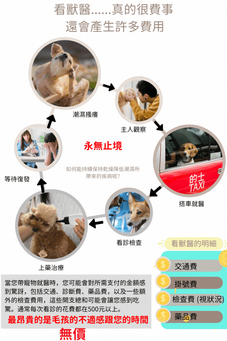 試用