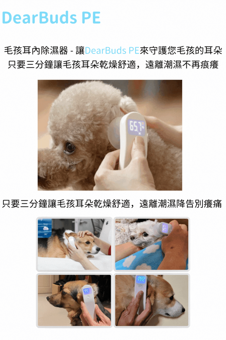 試用