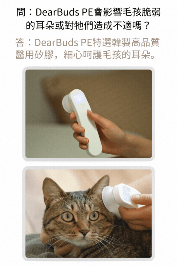 試用