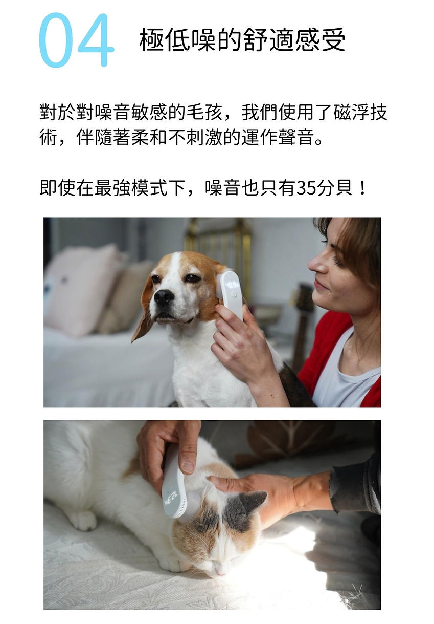 試用