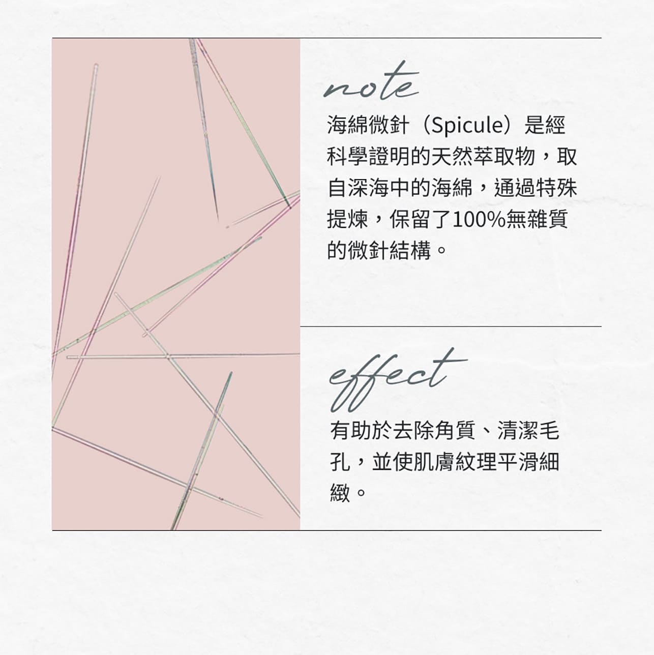 試用