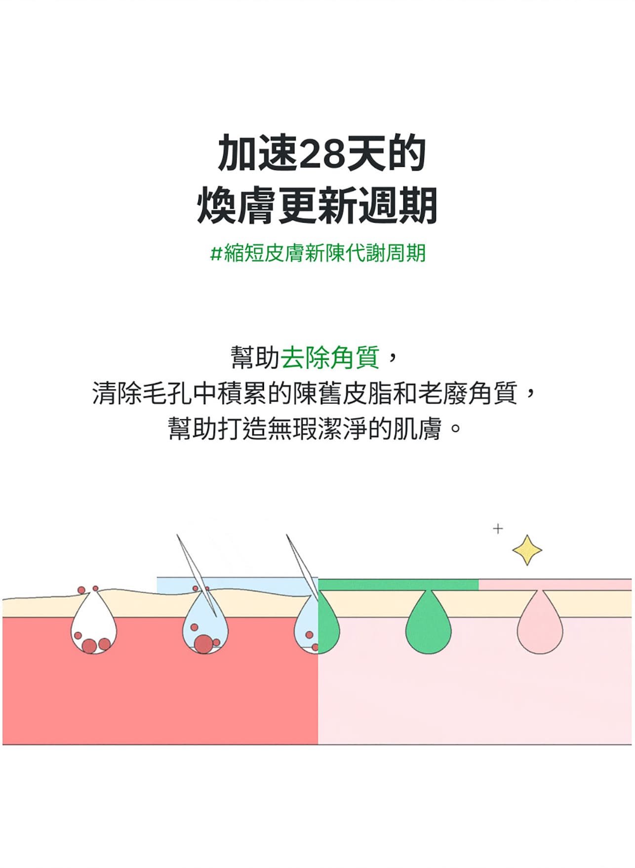 試用