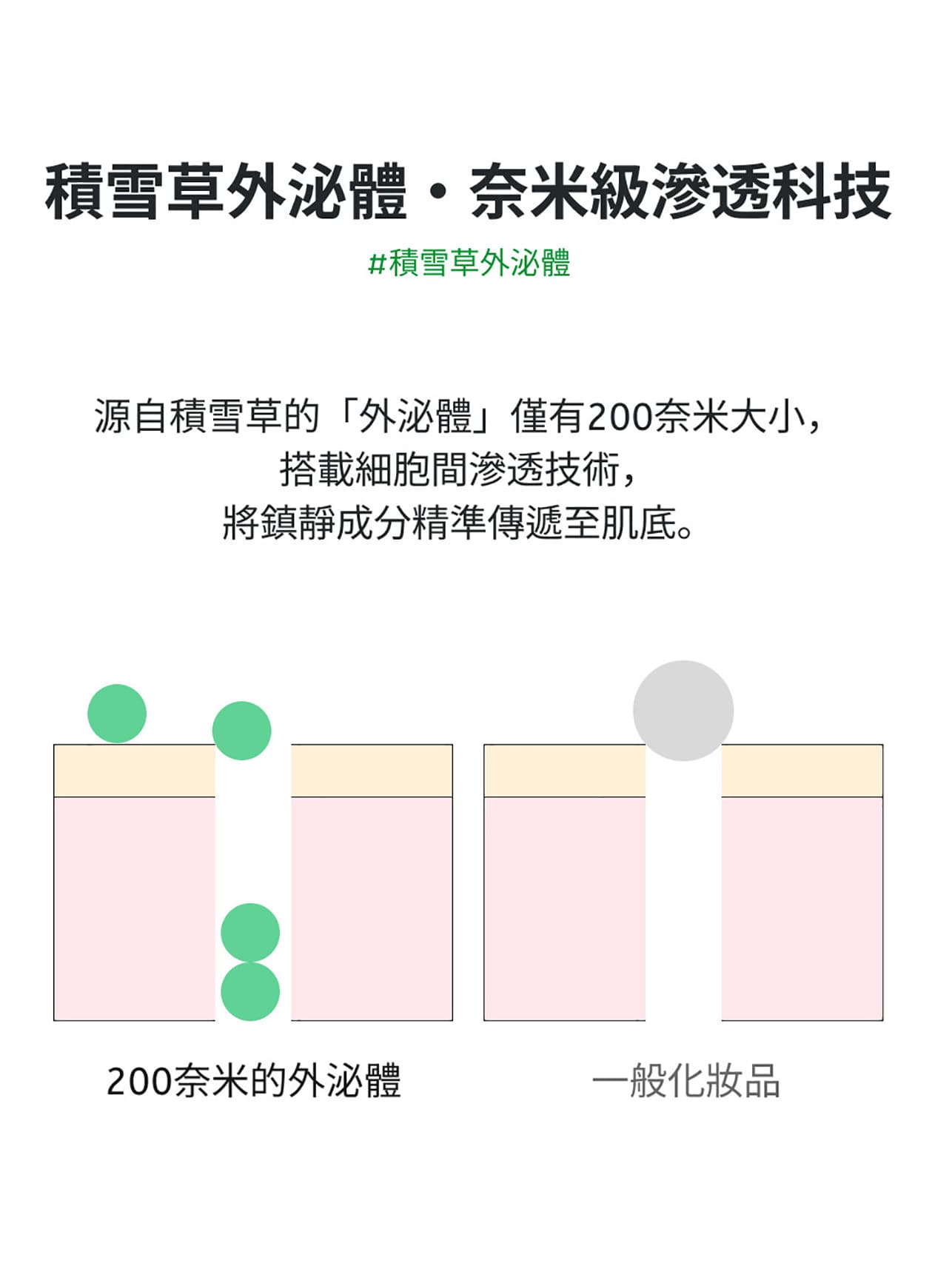 試用
