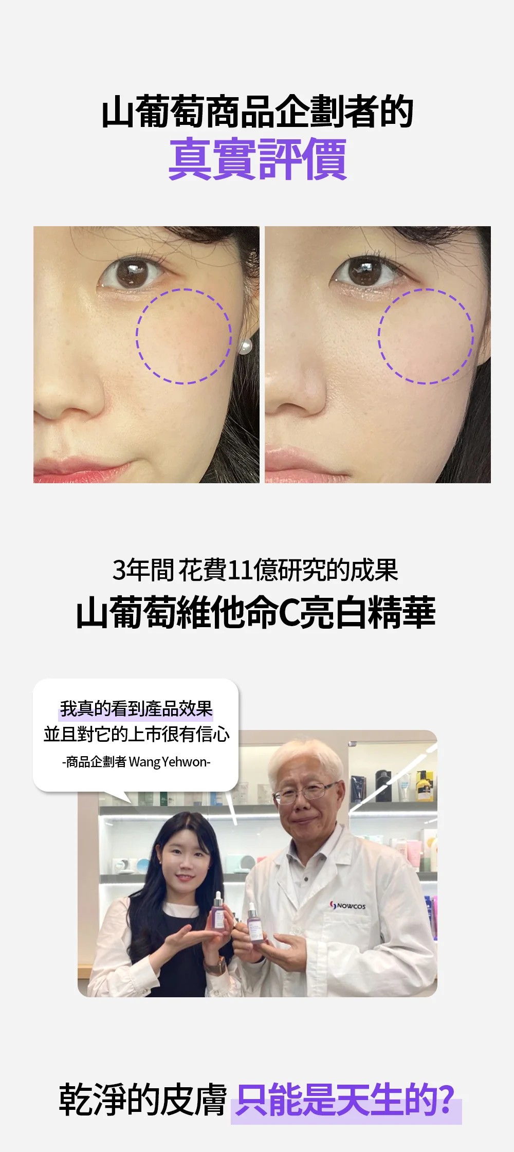 試用