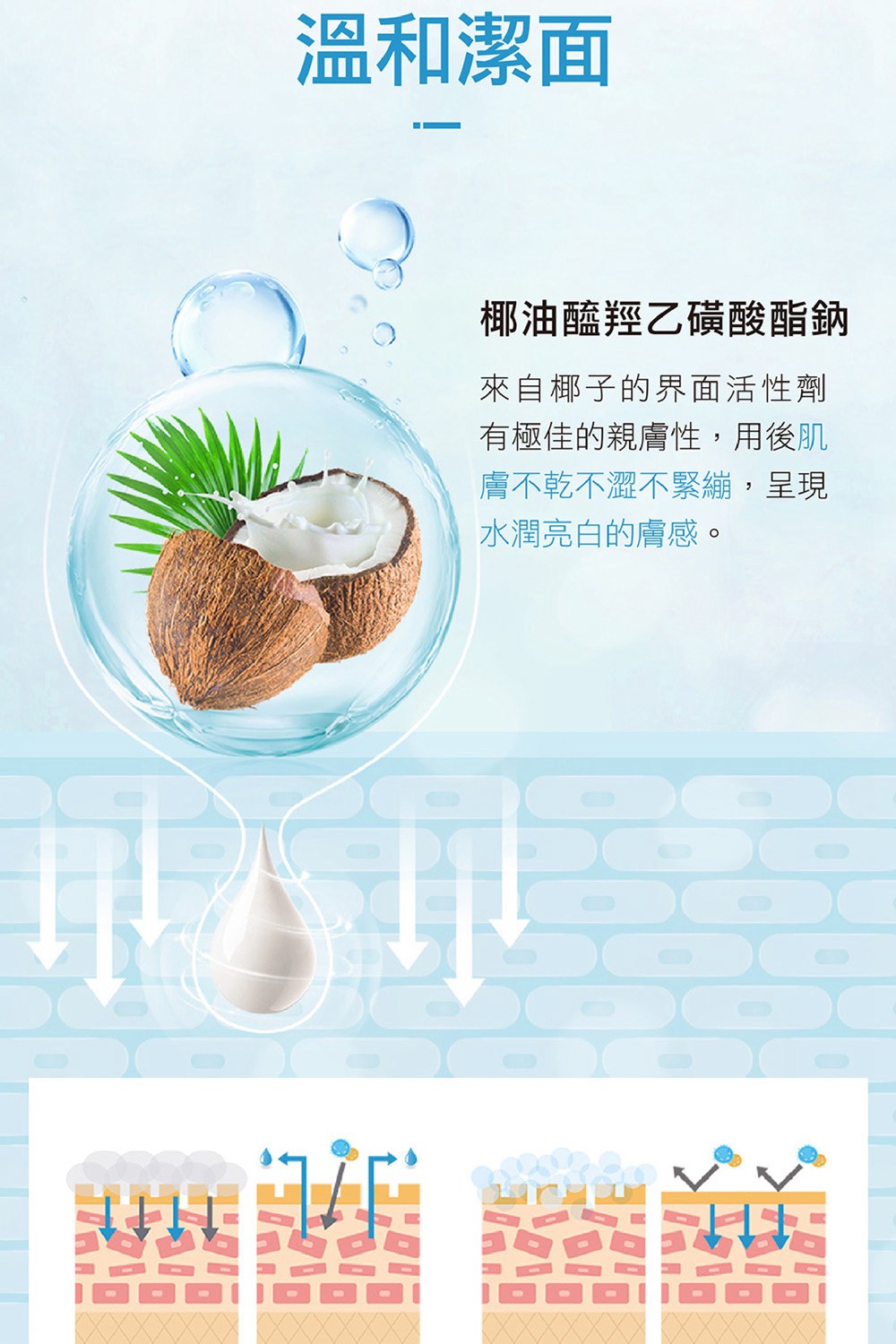 試用