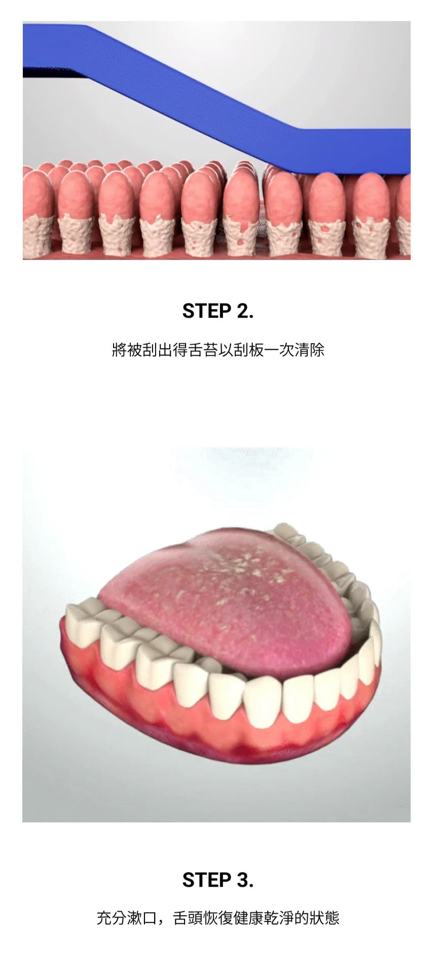試用