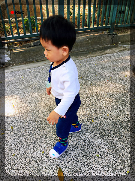 女人知己試用大隊,口碑行銷,部落客行銷,Nikokids學步鞋,學步鞋,Nikokids軟Q底學步鞋,學步鞋怎麼挑,學步鞋推薦,學步鞋哪裡買